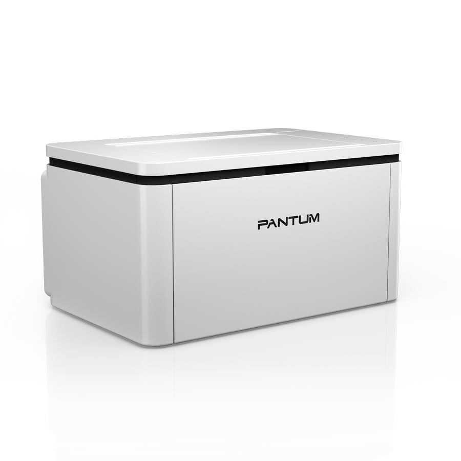 طابعة الليزر Pantum BP2300NW