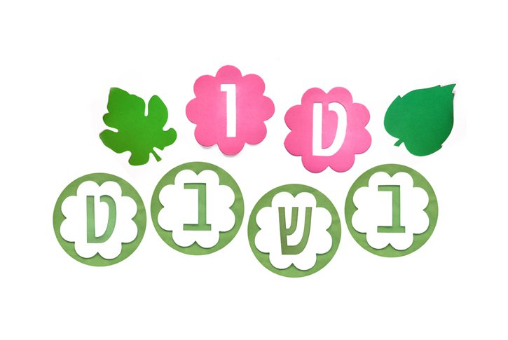 חיתוכי סול כיתוב ט``ו בשבט