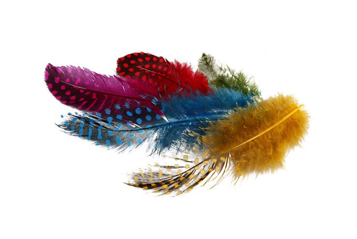 נוצות פנינה עם נקודות -50 גרם בשקית