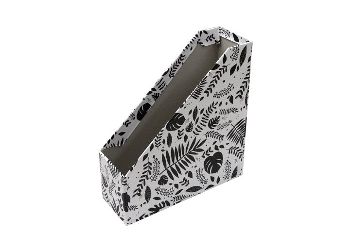 קופסא לקטלוג  קווים גרפיים