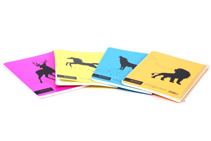 מחברת ספירלה MAGIC כריכת פלסטיק נושא אחד - גודל A5