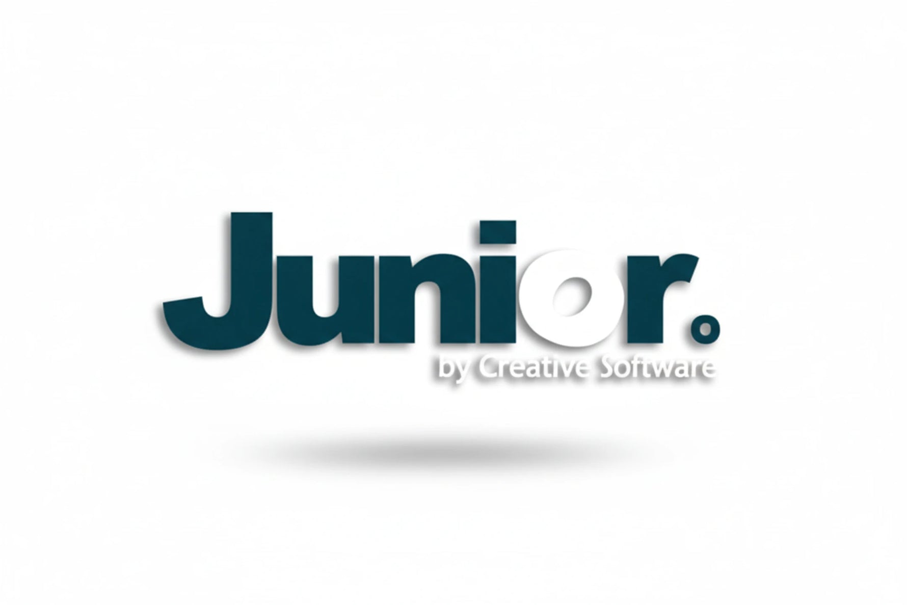 תוכנת Junior תוכנת ניהול לעצמאים ופרילנסרים