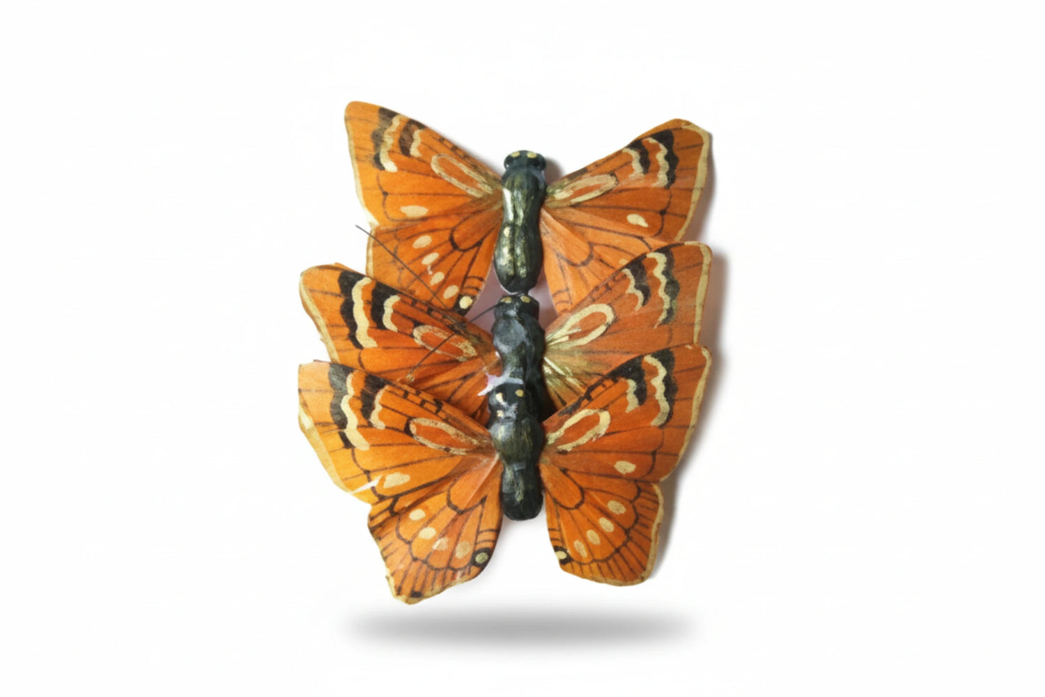 פרפר נוי כתום