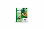 ראש דיו אפסון מקורי ורוד Light Magenta  T0346