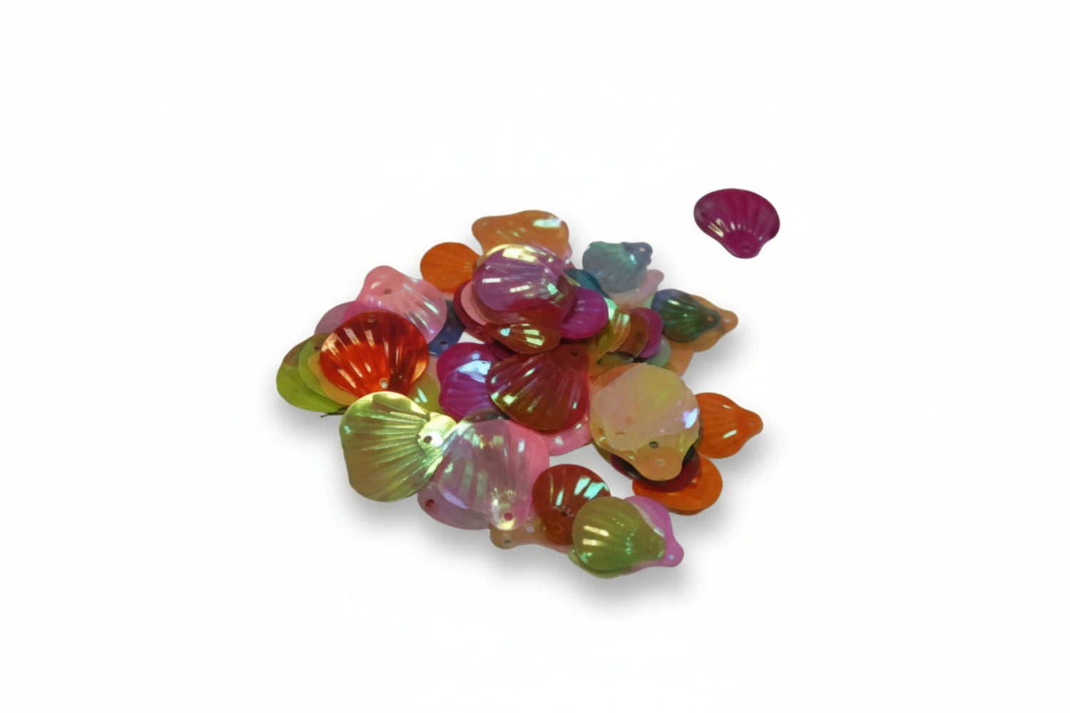 חבילת פייטים הולוגרמי צדפים