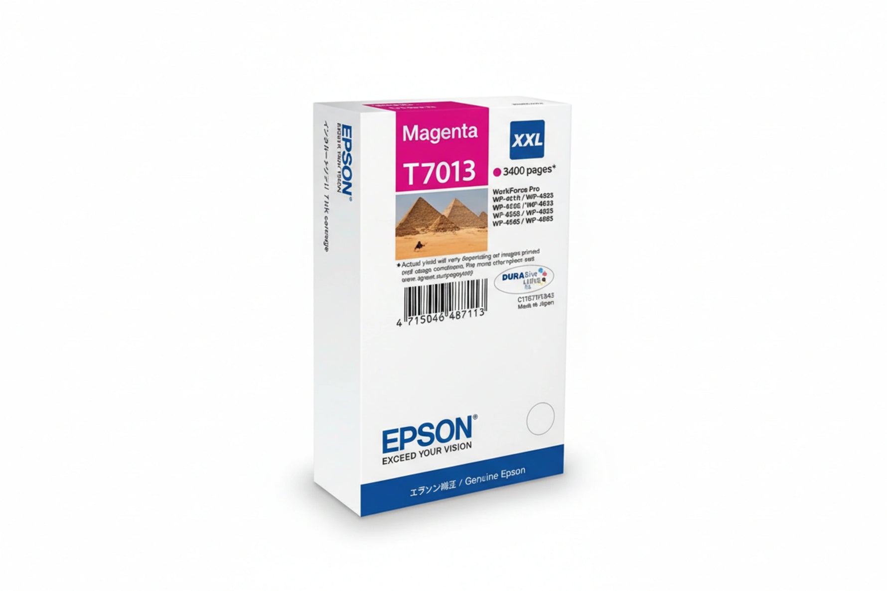 ראשי דיו מגנטה מקורי EPSON T7013